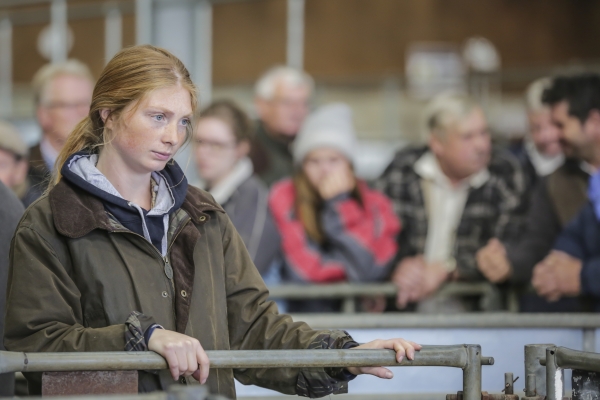 Cirencester Cattle Market photographs by Hilary Stock