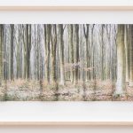 Into the Woods II